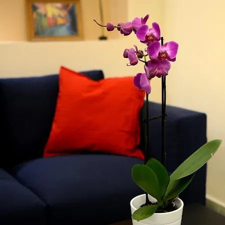 Grand Synagogue Dream Budapest